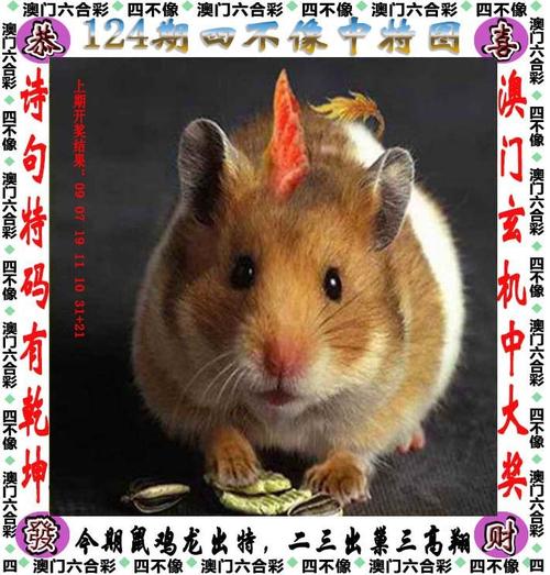 2025新澳门王中王正版和总监变前台获赔26万 与总监变前台获赔26万元