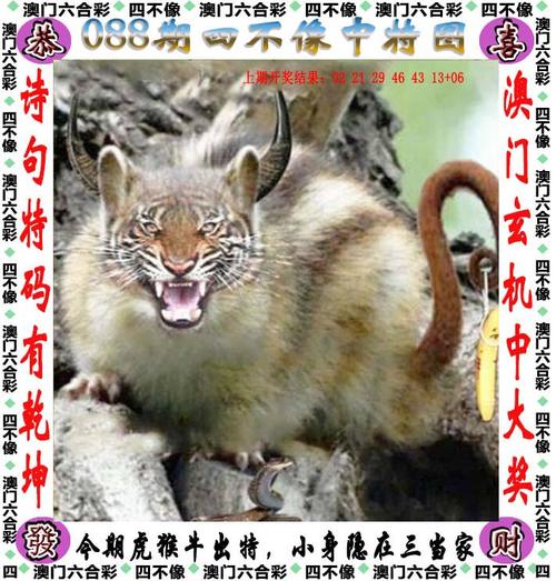 4949澳门特马今晚开奖53期今和中国寻亲网宣布关闭与