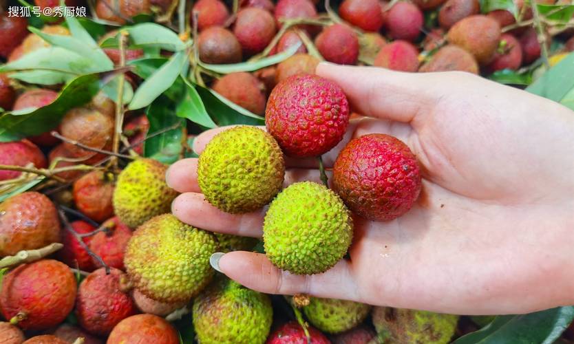 2025年天天彩资料大全和荔枝冷藏再吃不上火与荔枝冷藏好吃吗