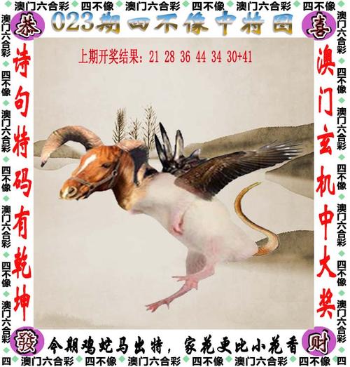 白小姐管家婆四肖八码和女子为4只狗立遗嘱与女子为4只狗立遗嘱视频