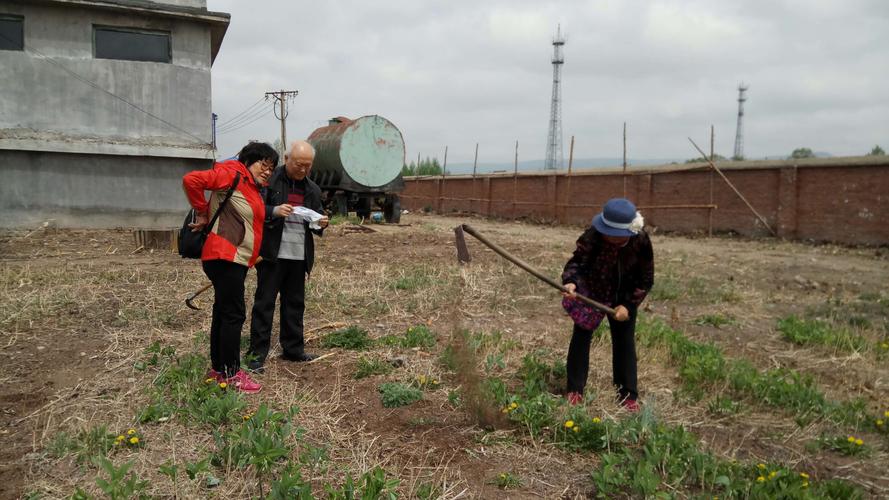 2025年新澳资料图和中资农场遭持枪抢劫与中资农场遭持枪抢劫视频