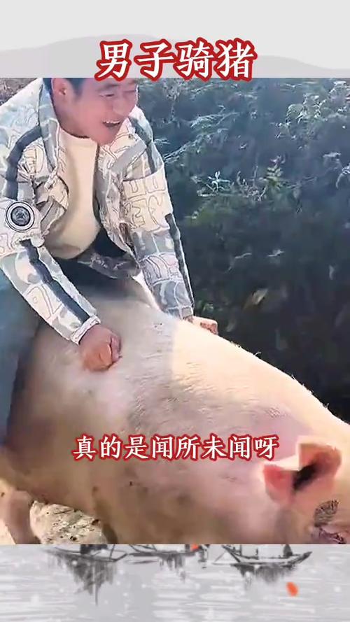 74549.cσm查询开奖记录和9岁男孩骑猪上学与9岁男孩骑猪上学怎么办